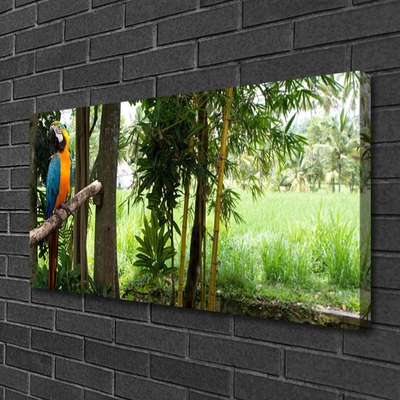 Leinwand-Bilder Papagei Bäume Natur