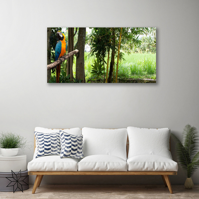 Leinwand-Bilder Papagei Bäume Natur