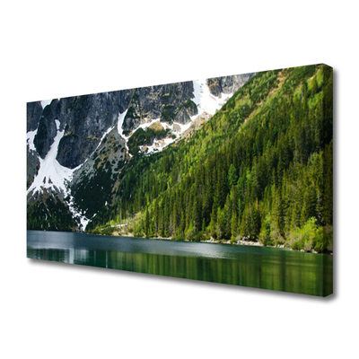 Leinwand-Bilder See Wald Gebirge Landschaft