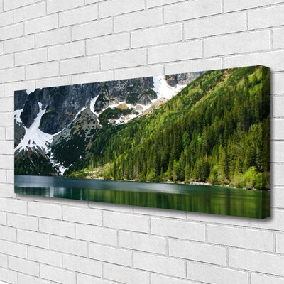 Leinwand-Bilder See Wald Gebirge Landschaft