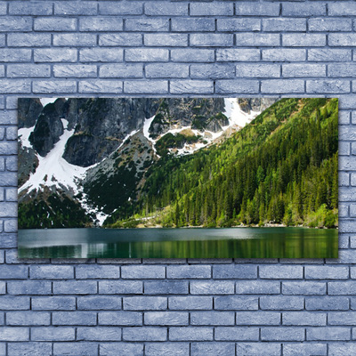 Leinwand-Bilder See Wald Gebirge Landschaft