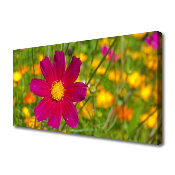 Leinwand-Bilder Blume Pflanzen