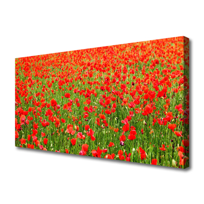 Leinwand-Bilder Mohnblumen Natur