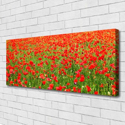 Leinwand-Bilder Mohnblumen Natur