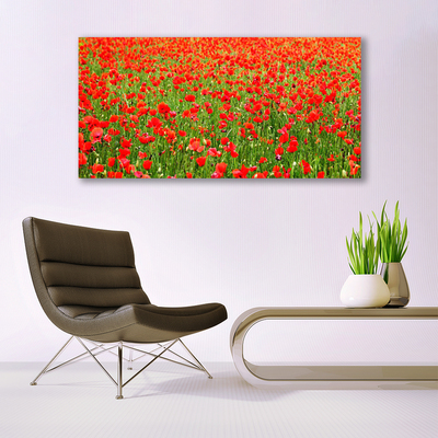 Leinwand-Bilder Mohnblumen Natur