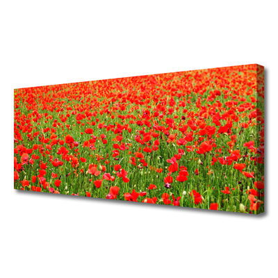 Leinwand-Bilder Mohnblumen Natur