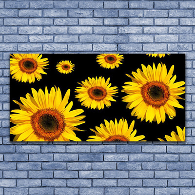 Leinwand-Bilder Sonnenblumen Pflanzen