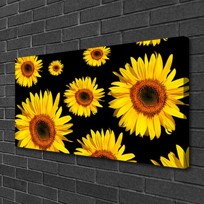 Leinwand-Bilder Sonnenblumen Pflanzen