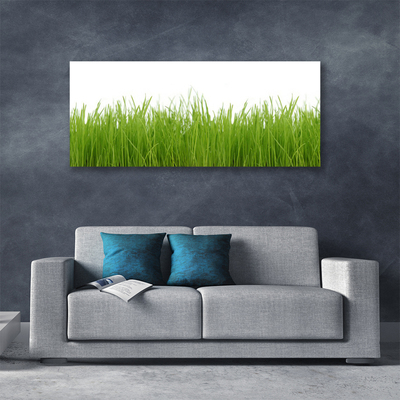 Leinwand-Bilder Gras Natur