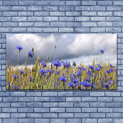 Leinwand-Bilder Blumen Pflanzen