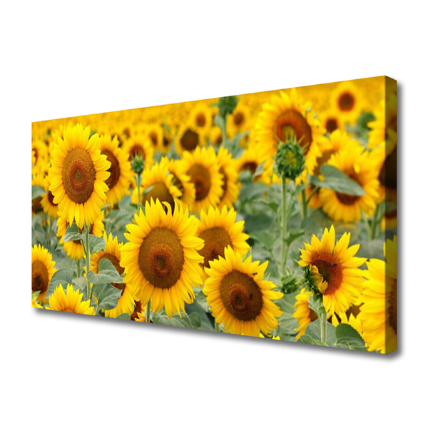 Leinwand-Bilder Sonnenblumen Pflanzen