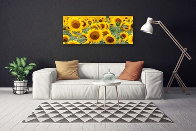 Leinwand-Bilder Sonnenblumen Pflanzen