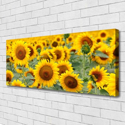 Leinwand-Bilder Sonnenblumen Pflanzen