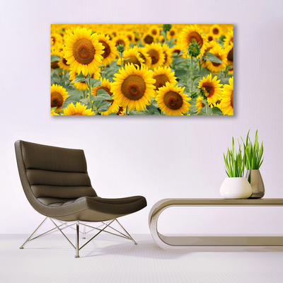 Leinwand-Bilder Sonnenblumen Pflanzen