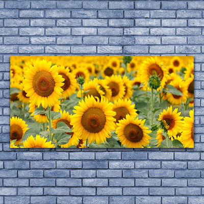 Leinwand-Bilder Sonnenblumen Pflanzen