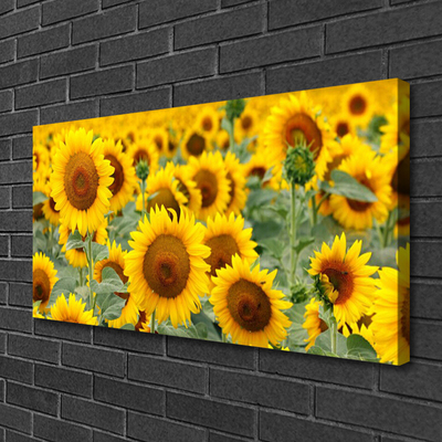 Leinwand-Bilder Sonnenblumen Pflanzen