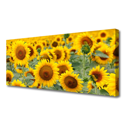 Leinwand-Bilder Sonnenblumen Pflanzen