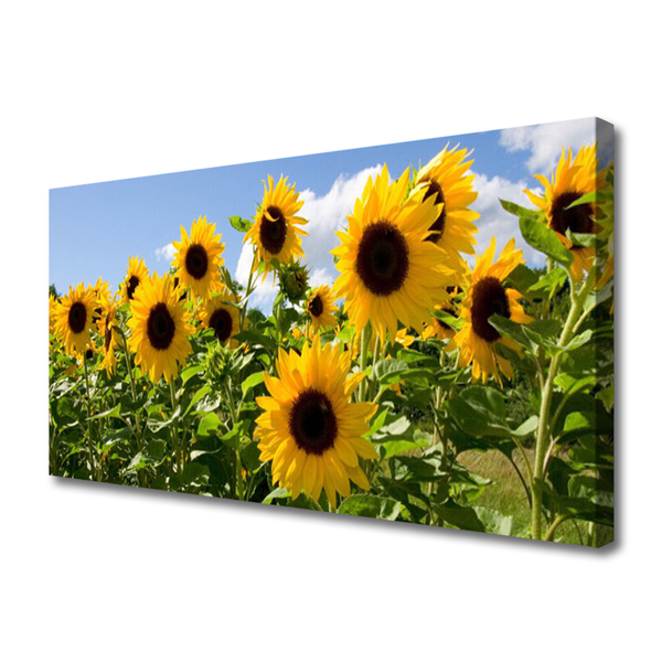 Leinwand-Bilder Sonnenblumen Pflanzen