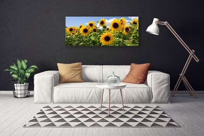 Leinwand-Bilder Sonnenblumen Pflanzen