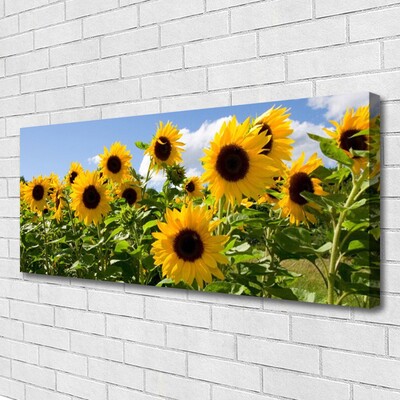 Leinwand-Bilder Sonnenblumen Pflanzen