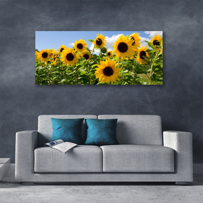 Leinwand-Bilder Sonnenblumen Pflanzen