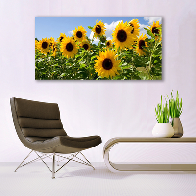 Leinwand-Bilder Sonnenblumen Pflanzen