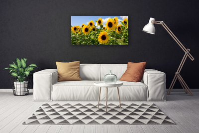 Leinwand-Bilder Sonnenblumen Pflanzen