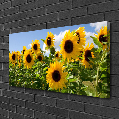 Leinwand-Bilder Sonnenblumen Pflanzen