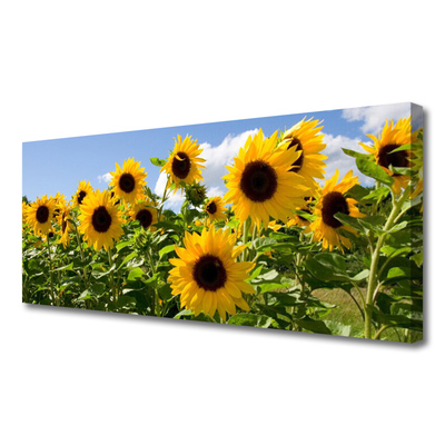 Leinwand-Bilder Sonnenblumen Pflanzen