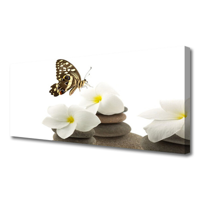 Leinwand-Bilder Schmetterling Blumen Steine Pflanzen