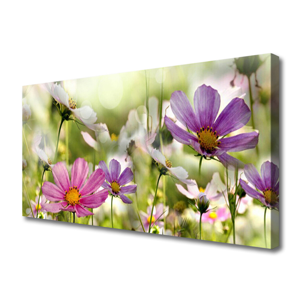 Leinwand-Bilder Blumen Natur