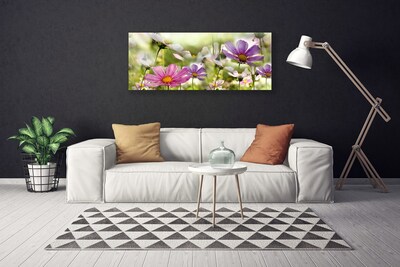 Leinwand-Bilder Blumen Natur