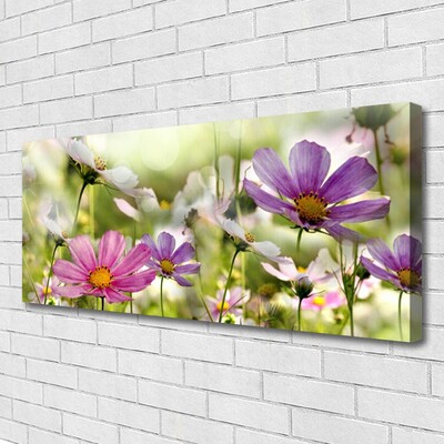 Leinwand-Bilder Blumen Natur