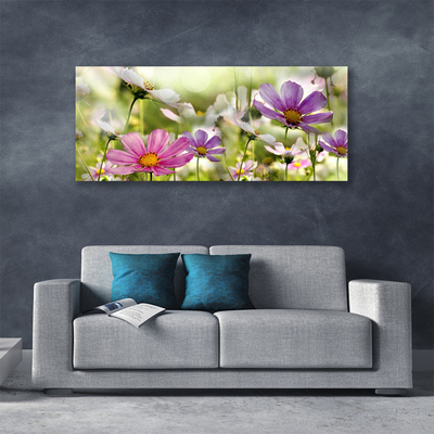 Leinwand-Bilder Blumen Natur