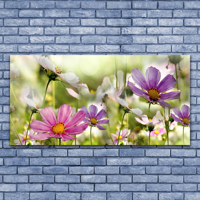 Leinwand-Bilder Blumen Natur