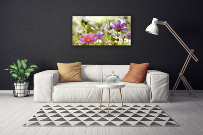 Leinwand-Bilder Blumen Natur