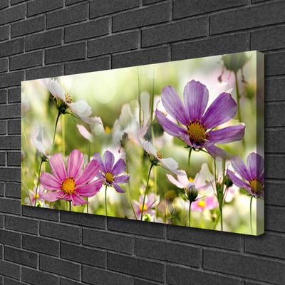 Leinwand-Bilder Blumen Natur