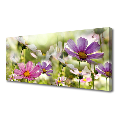 Leinwand-Bilder Blumen Natur