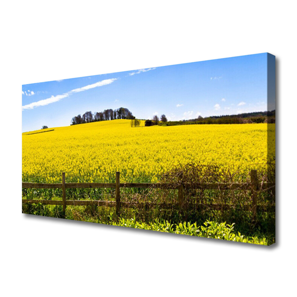 Leinwand-Bilder Acker Landschaft