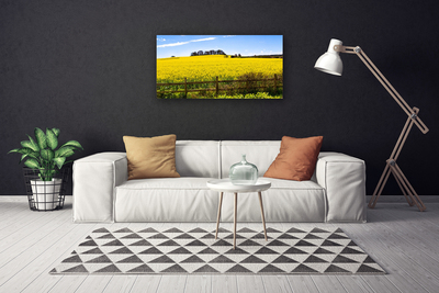 Leinwand-Bilder Acker Landschaft