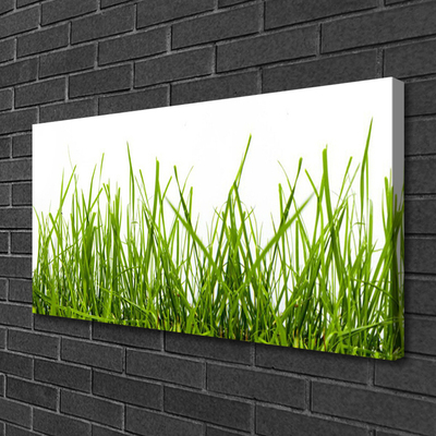 Leinwand-Bilder Gras Natur