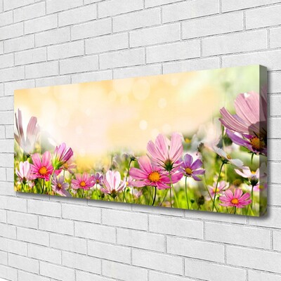 Leinwand-Bilder Blumen Natur