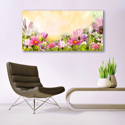 Leinwand-Bilder Blumen Natur