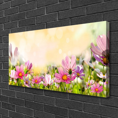 Leinwand-Bilder Blumen Natur