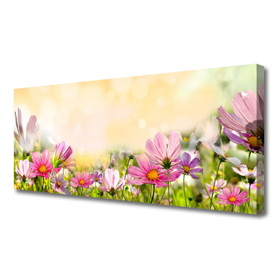 Leinwand-Bilder Blumen Natur