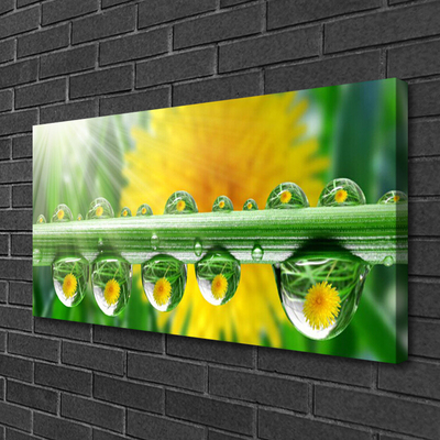 Leinwand-Bilder Stängel Tautropfen Pflanzen
