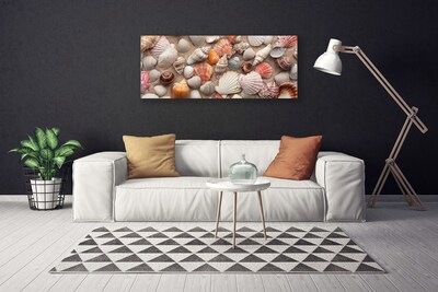 Leinwand-Bilder Muscheln Kunst