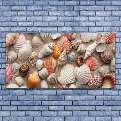 Leinwand-Bilder Muscheln Kunst