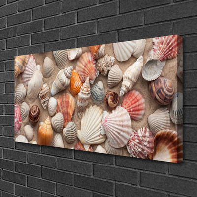 Leinwand-Bilder Muscheln Kunst