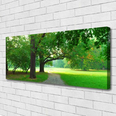 Leinwand-Bilder Fußpfad Bäume Natur